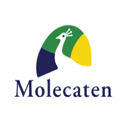 Molecaten